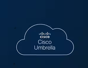 Cisco Umbrella Professional