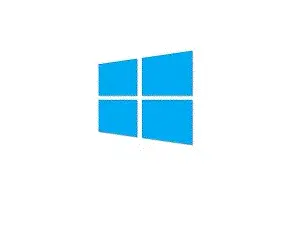 Microsoft Visual Studio Professional 2022
